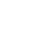 Diagnostic icon